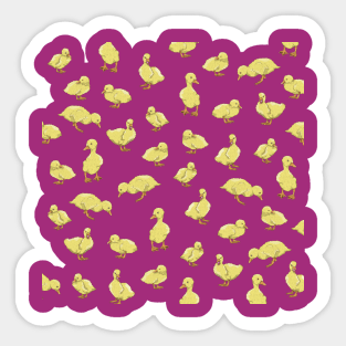 Duckling Pattern Sticker